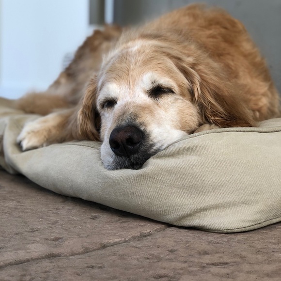 Meet your Posher, Melinda - Picture 1 of 1